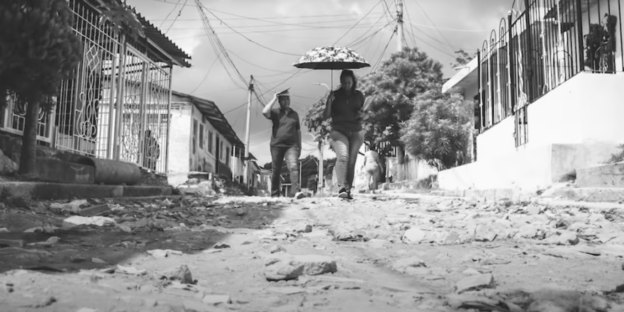 como funciona siembra