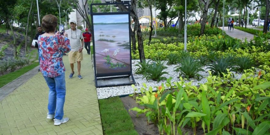 6. Realismo mágico, la inspiración de un nuevo parque en B:quilla