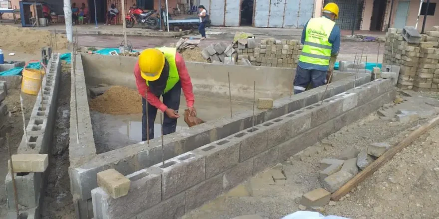 Arborización-urbana-7