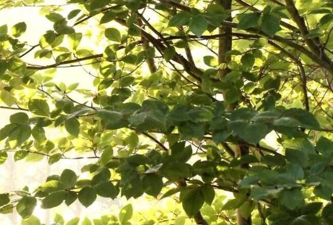 ROK66CEZQFIHFCQZEOOSOHQX5I