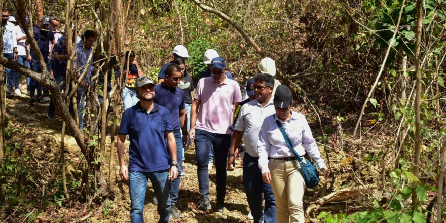 bosque-urbano-2-1536x1025