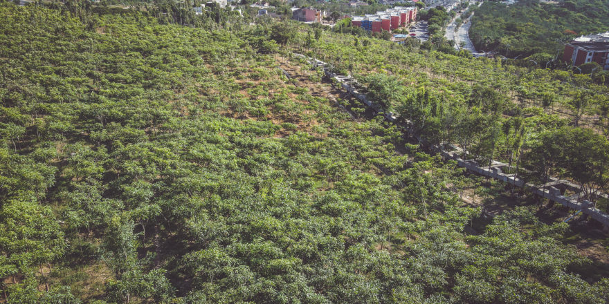 https-::www.barranquilla.gov.co:wp-content:uploads:2022:06:dji-0101