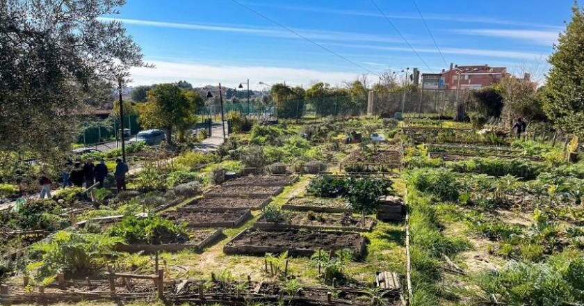 Parques con huertos comunitarios propenderán por la seguridad alimentaria