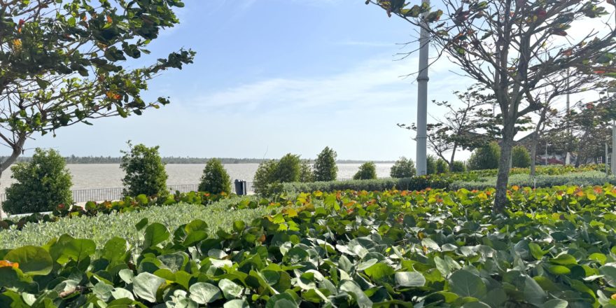 20250204_144404650_iOS