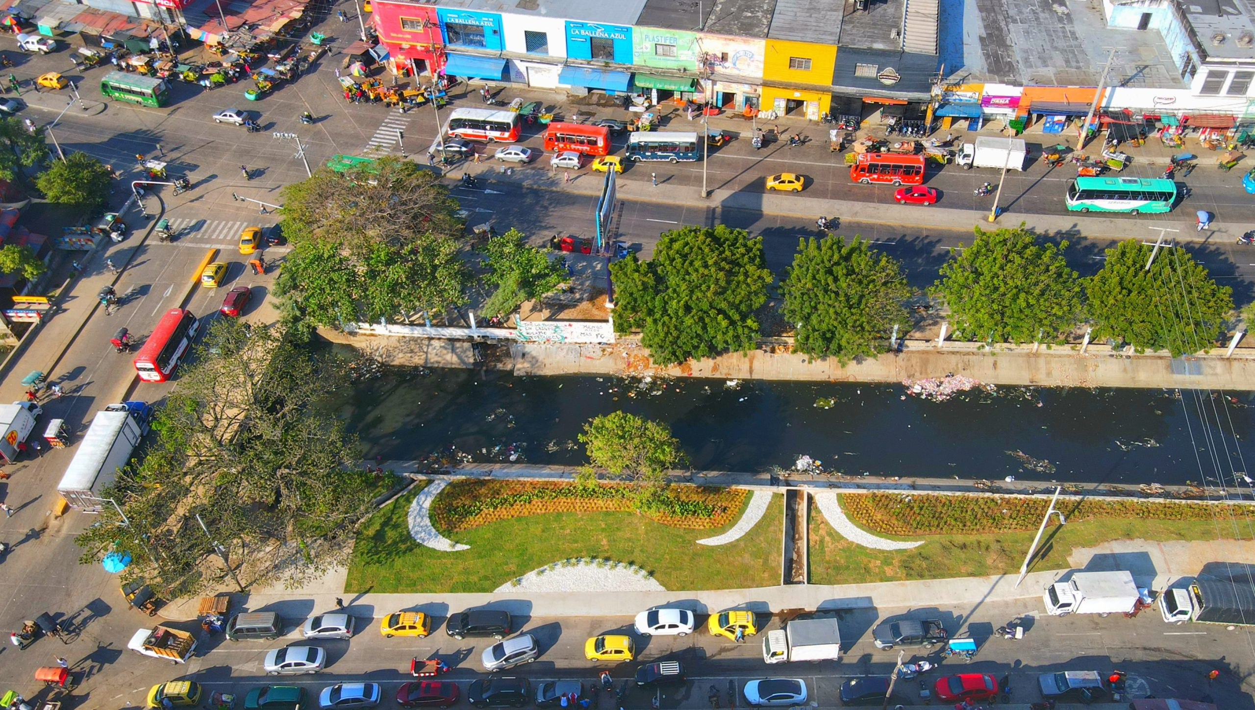 “La renovación de Barranquillita es total”: alcalde Char en recorrido por trabajos de siembra y arborización