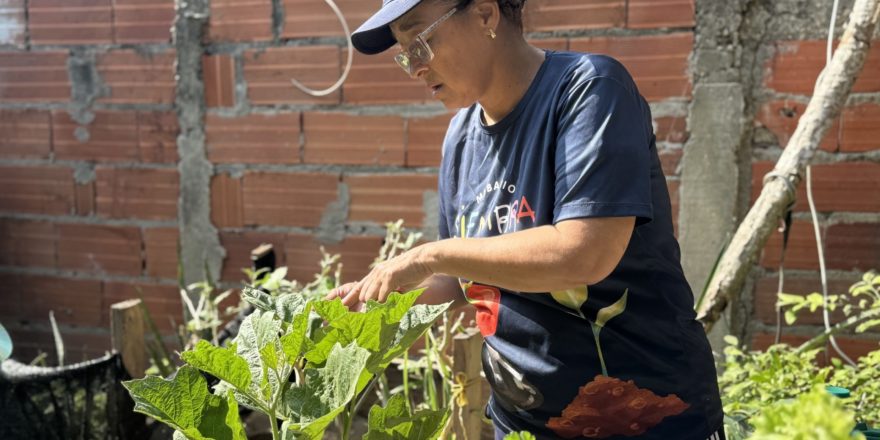 20250305_141648076_iOS