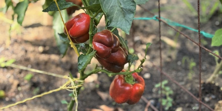 20250305_152650691_iOS