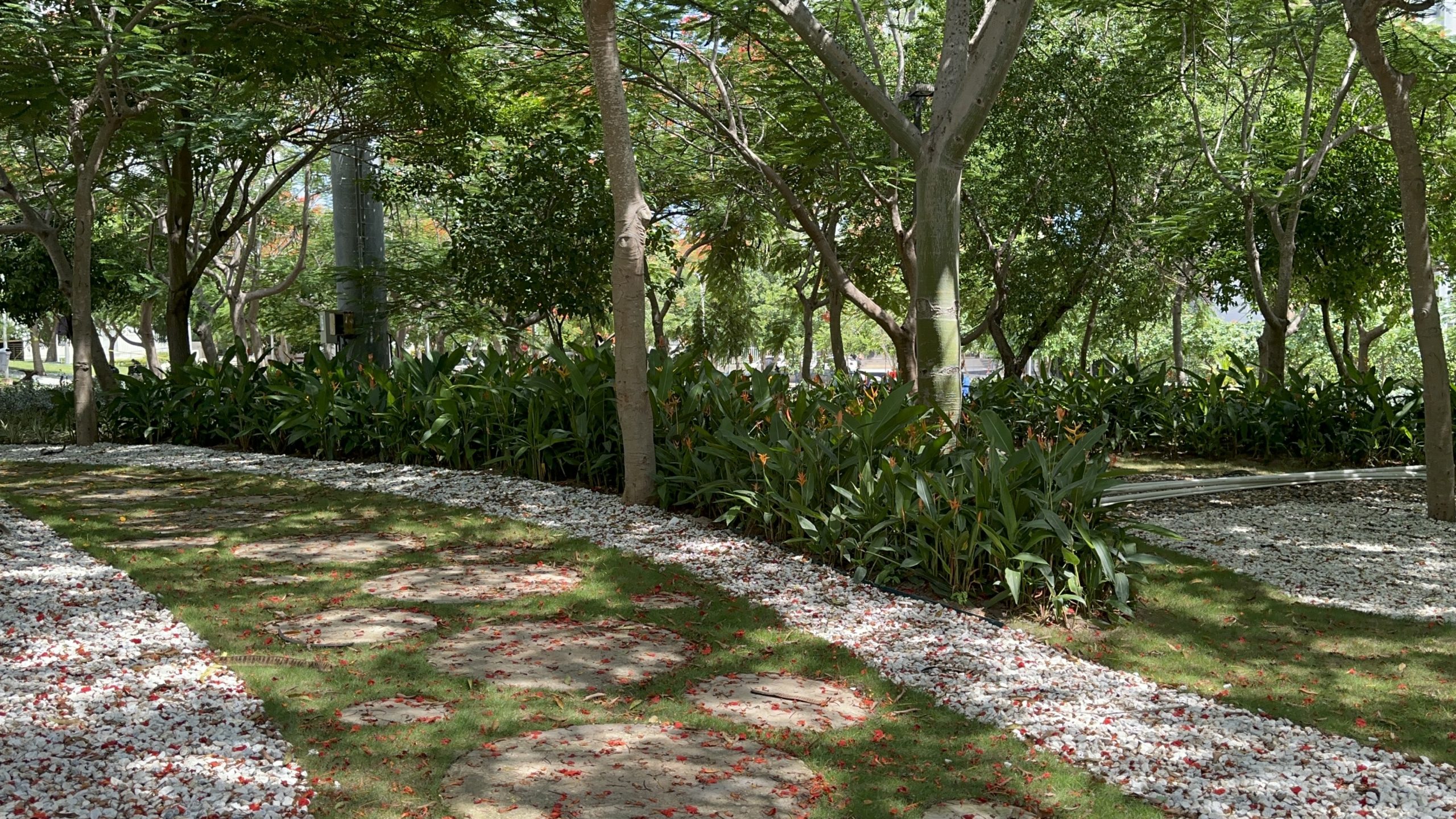 Villa Carolina reverdece con 6.000 m² de paisajismo: El Parque Espejo renace como pulmón verde de Barranquilla